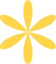 yellow flower